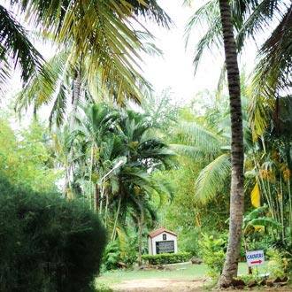 Cauvery Sannidhi, Srirangapatna 5